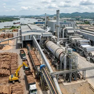 Ứng dụng nhiệt trong chế biến gỗ và giấy